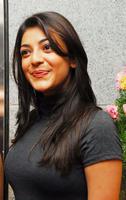 Kajal Hot Photos